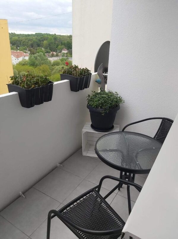 Set Mesa y Sillas Para Exterior - Imagen 5